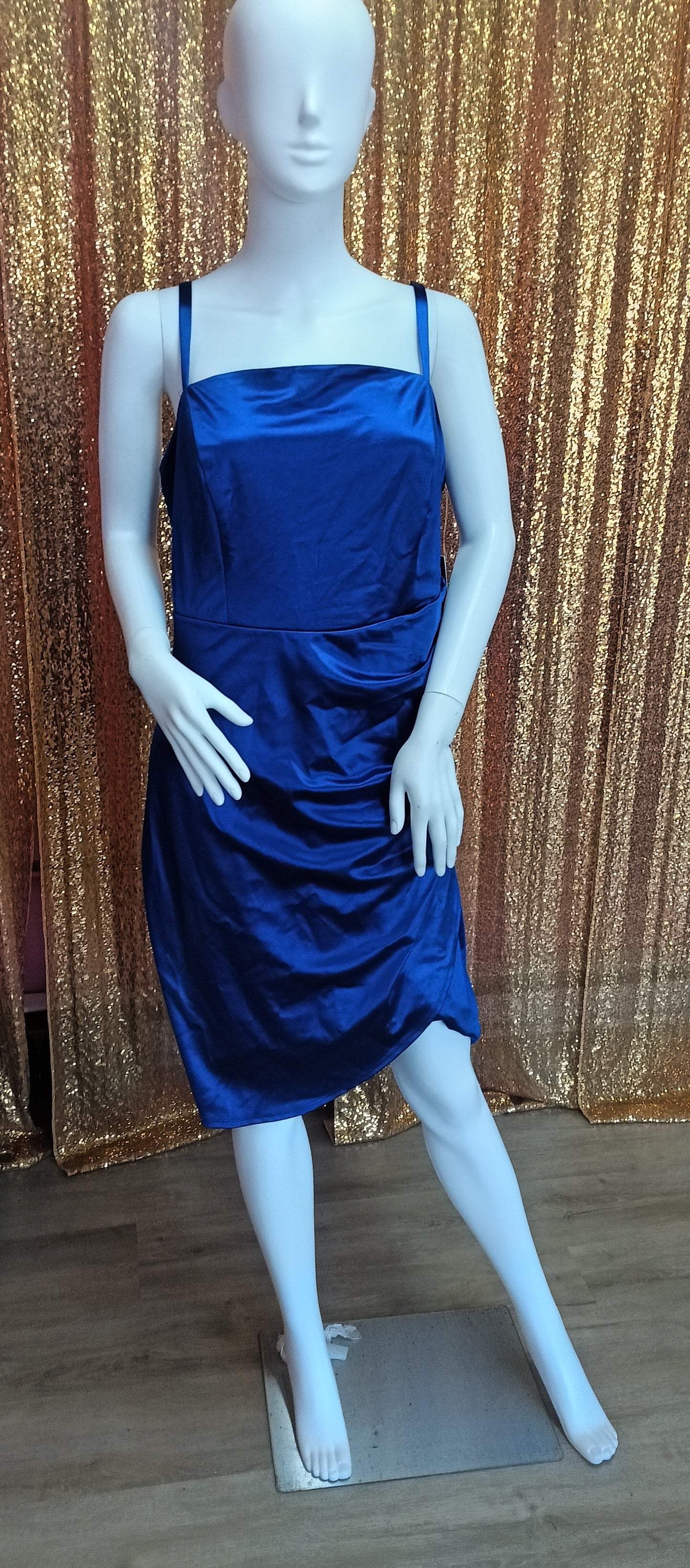Plus size Royal blue satin hoco
