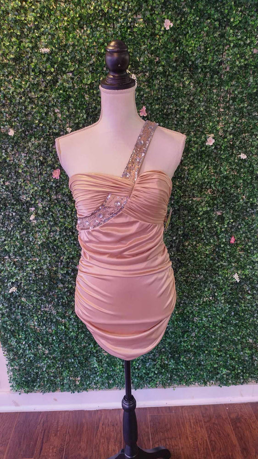 Windsor collection champagne hoco dress