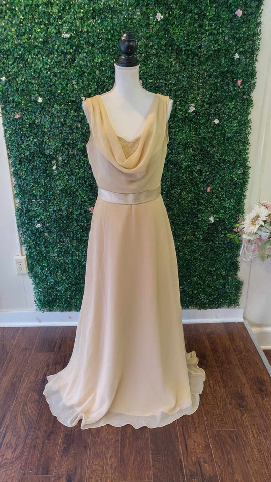 Pretty Maids Chiffon full length champagne formal dress