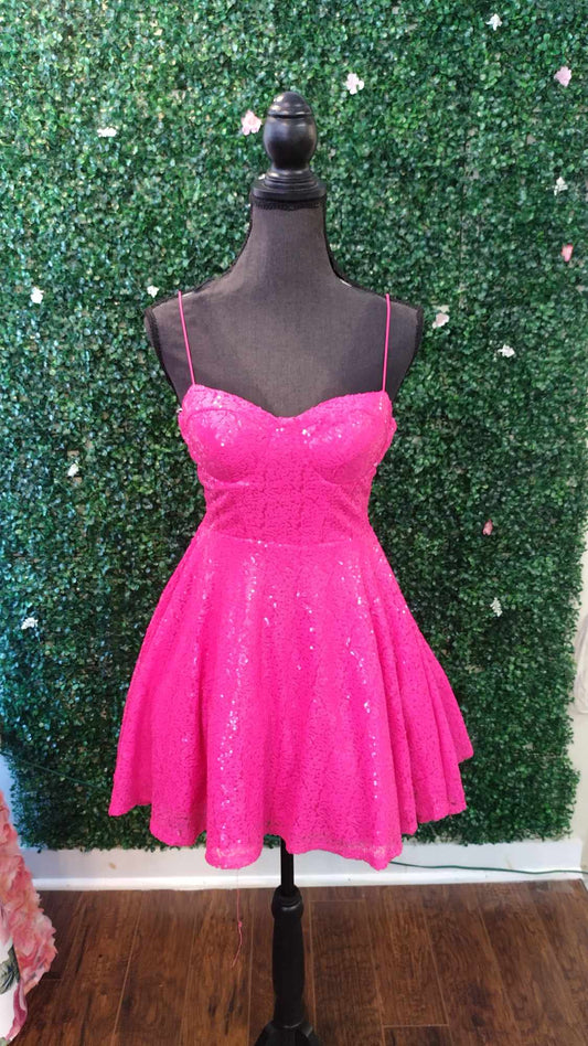 Hot Pink Sparkly Fit and Flare